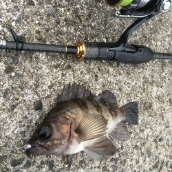 爆風デイゲーム