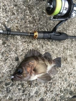 爆風デイゲーム