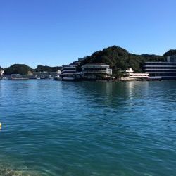 ベイトフェネスで