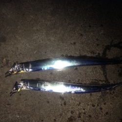 タチウオワインド