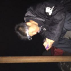 初のイカゲット