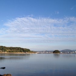 とほほなメッキ