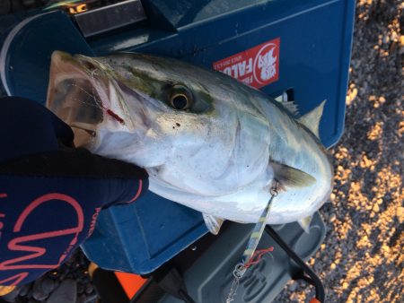 煙樹ヶ浜でショアジギング