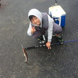 なんとか、一本