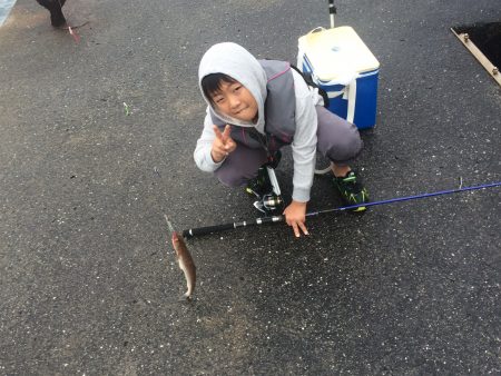 なんとか、一本