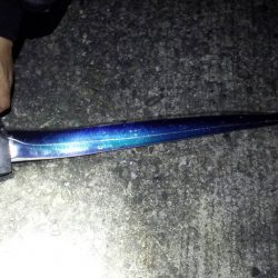 タチウオ ワインド