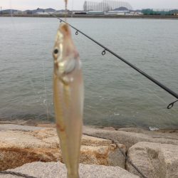 こんな時期に？