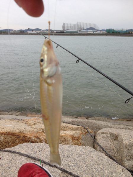 こんな時期に？