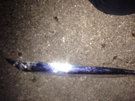 ワインドタチウオ