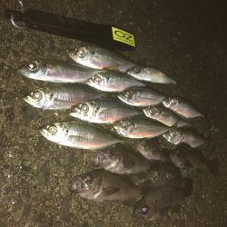 心地よいアジング