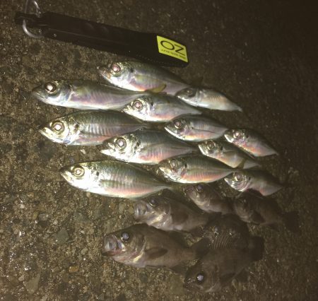 心地よいアジング