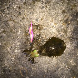 鹿を見ながらランガン！