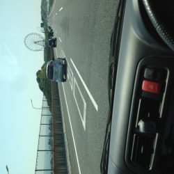 コウイカです‼︎