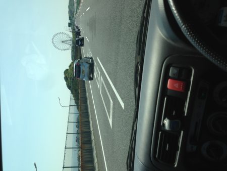 コウイカです‼︎