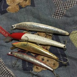 サヨリパターン