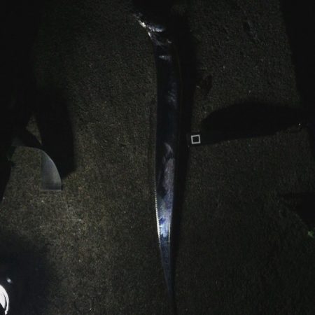 タチウオ テンヤ