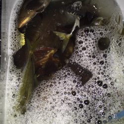 メバリング。アジング。第3弾 INゴルフ場浦