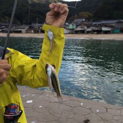 野原漁港で釣り