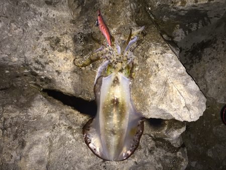 今秋2度目の遠征！