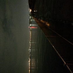 釣り人、少ない