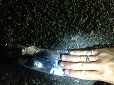 ドラゴン確保いたしました♪