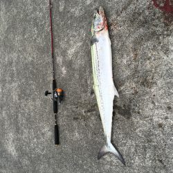 ナブラに感謝(^.^)