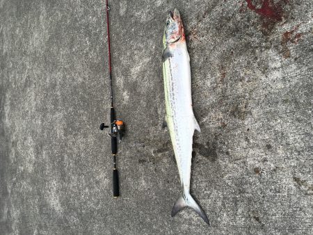 ナブラに感謝(^.^)