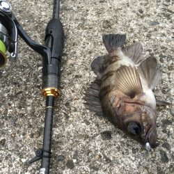 爆風デイゲーム