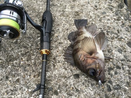 爆風デイゲーム