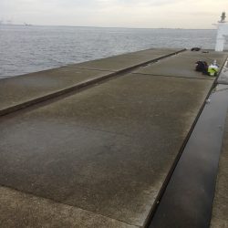 沖堤行ってきました