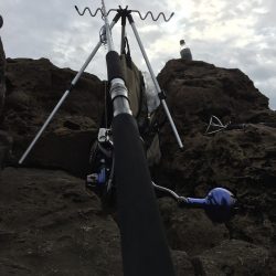 交通事故的な！