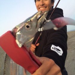 2週間ぶり紀ノ川