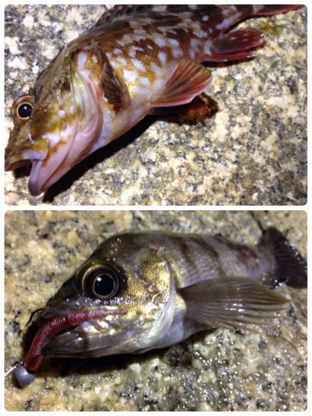 ライトなゲーム。