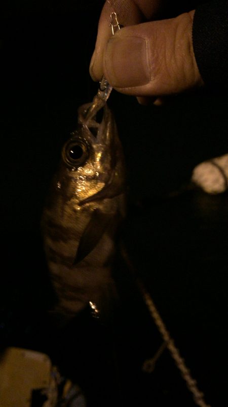 爆風のち極寒！