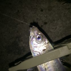 ワンヒット ワンヒット