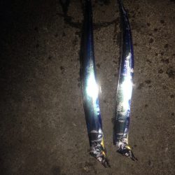 タチウオワインド