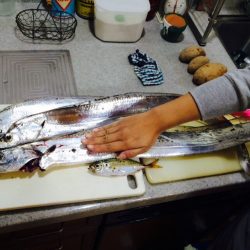 この時期の太刀魚大きいですね、子供との初の連携プレーで納得の釣果