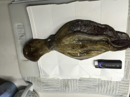 まさかの展開が、、、