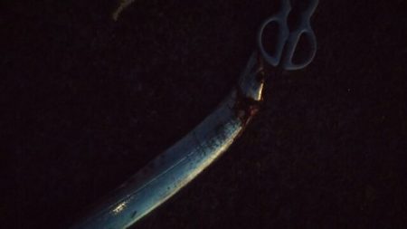 ベランダ超満員