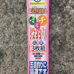 昨日に引き続き…