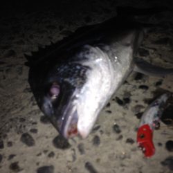 うれしい外道ゲット！