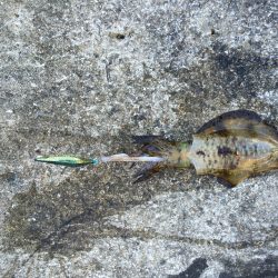 なんとか一杯。。。