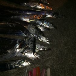 ワインド最高！