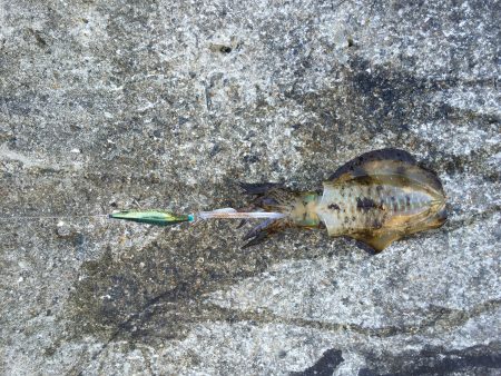 なんとか一杯。。。