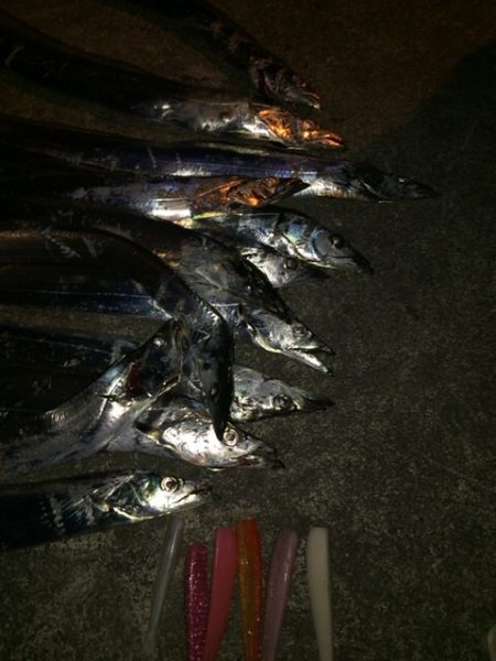 ワインド最高！