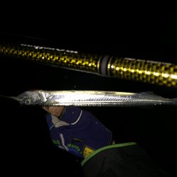 連夜好調Nightシーバス♪