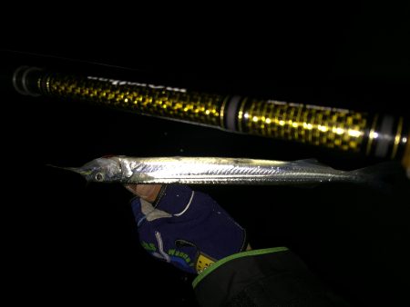 連夜好調Nightシーバス♪