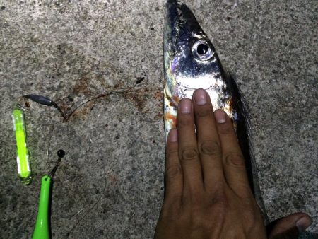 出ましたドラゴン！