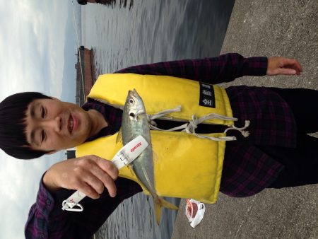 満喫とはいかず…