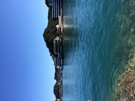 ベイトフェネスで